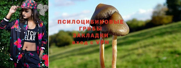 соль ск Дмитров