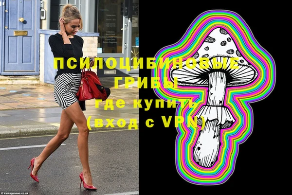 соль ск Дмитров