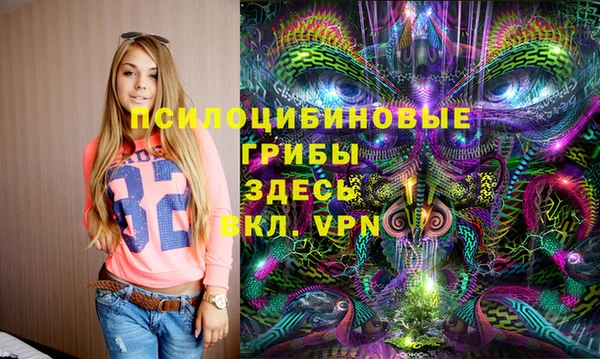 соль ск Дмитров